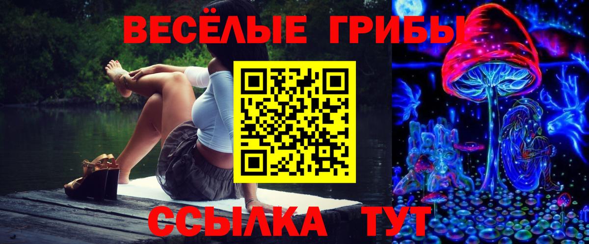 Галлюциногенные грибы GOLDEN TEACHER Ивантеевка
