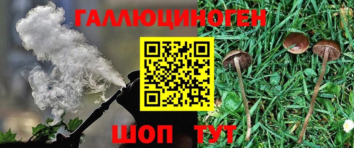 Галлюциногенные грибы прущие грибы  Галлюциногенные грибы GOLDEN TEACHER  Вход с VPN  Ивантеевка 