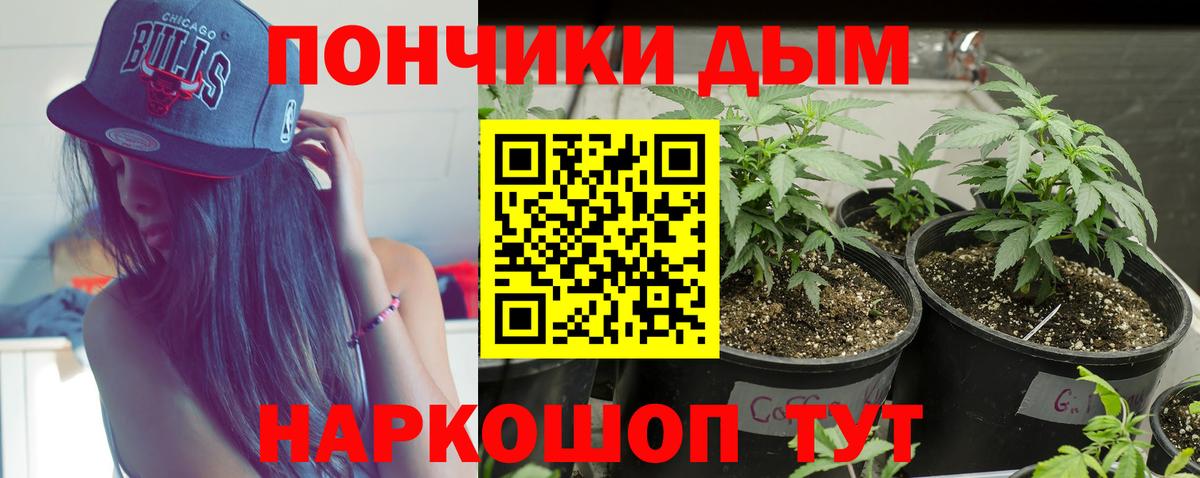 Бошки Шишки планчик  Шишки марихуана марихуана  Шишки марихуана MAZAR  Вход с VPN  Ивантеевка 
